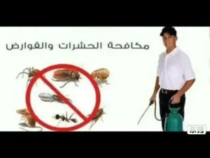 افضل شركة مكافحة حشرات وتعقيم في الكويت